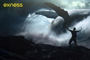 엑스니스, 트레이더 주인공의 대담한 새 글로벌 캠페인 출범